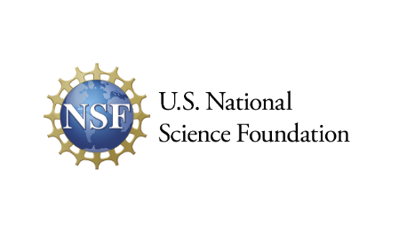 National Science Foundation project graphic